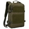 Plecak Molle Plate Carrier Bag for Tactical Vest - Ranger Green